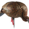 Avian X AVXAVX8107 HDR Feeder Hen Turkey Species Multi-Color 2 145400