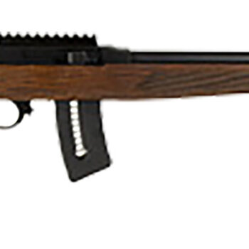 Rossi RS22W2111WD RS22  Full Size 22 WMR 10+1 21" Matte Black Steel Barrel, Matte Black Picatinny Rail Steel Receiver, Fixed Hardwood Stock