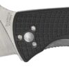 Spyderco C122PBK Tenacious Lightweight 3.39" Folding Plain Satin 8Cr13MoV SS Blade/Black Bi-Directional Texturing FRN Handle Includes Pocket Clip 2 158068