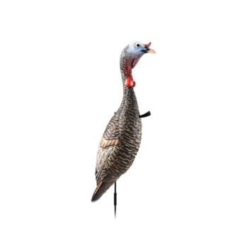 FLEXTONE FLX-FLXDY330 FUNKY CHICKEN GEN. 2