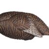 FLEXTONE FLX-FLXDY331 THUNDER CHICK BREEDER 2 194489