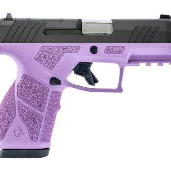 Taurus 1-GX2P931LP GX2 T.O.R.O. Compact Frame 9mm Luger 13+1 3.38" SharpShooter Barrel Alloy Steel Optic Ready Slide Polymer Frame w/Picatinny Rail Textured Grip