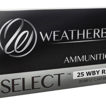 WEATHERBY 25WBY RPM 117GR HORNADY SST
