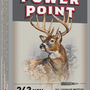 Winchester Ammo X2432 Power-Point  243Win 100gr 20 Per Box/10 Case
