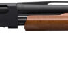 Winchester Repeating Arms 512271391 SXP Field Compact 12 Gauge 26" 4+1 3" Matte Black Rec/Barrel Satin Walnut Stock Right Hand Includes 3 Invector-Plus Chokes 1 90561