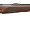 CZ2007308