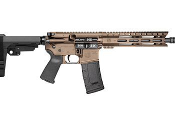 DBF DB15 300BLK 10" 30RD BRZ BRACE