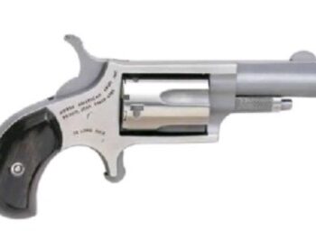 NORTH AMERICAN ARMS MINI 22MAG REV 1-5/8 SS BLKPRL