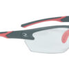 RADWS6810CS 1