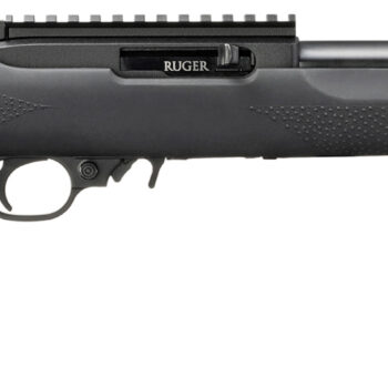 RUG 10/22 22LR 16.12 BLK HOGUE 10RD