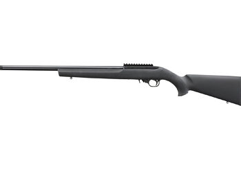 RUGER 10/22 20" TB HOGUE 10RD BLK